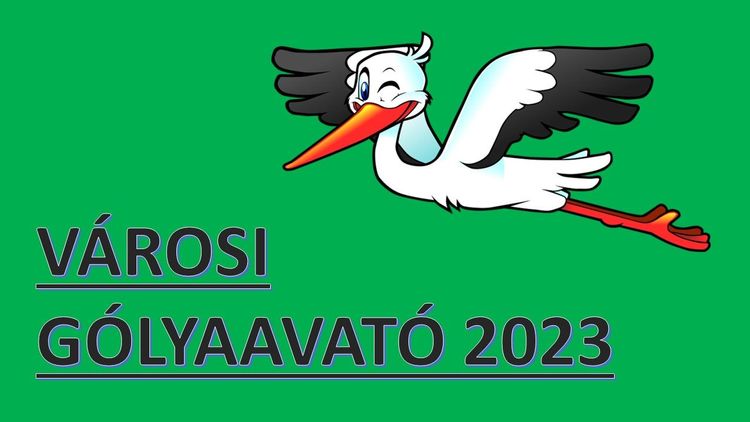 Városi Gólyaavató 2023